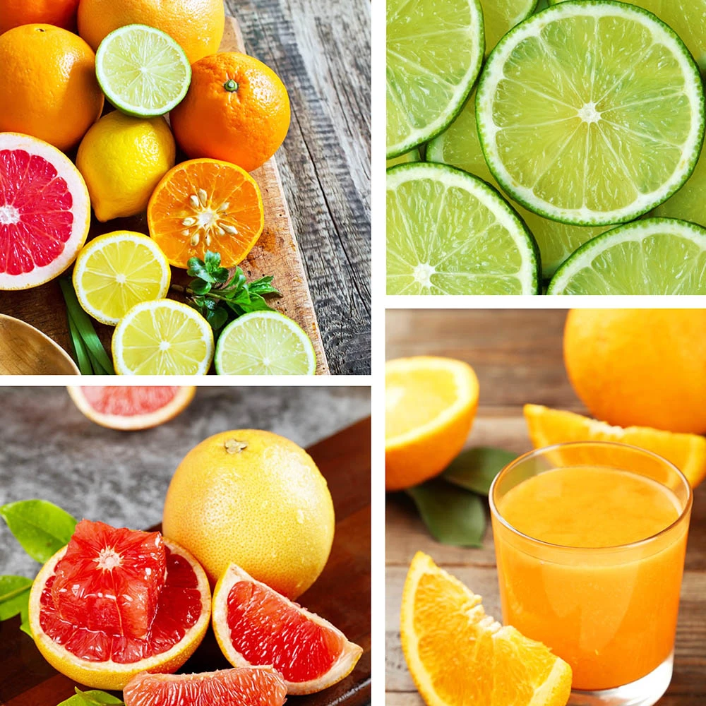 Sonifer SF5526 100W Citrus Press Juicer, Stainless Steel Orange Juice Maker Extractor, Lemon Pomegranate Fruit Squeezer - Image 4